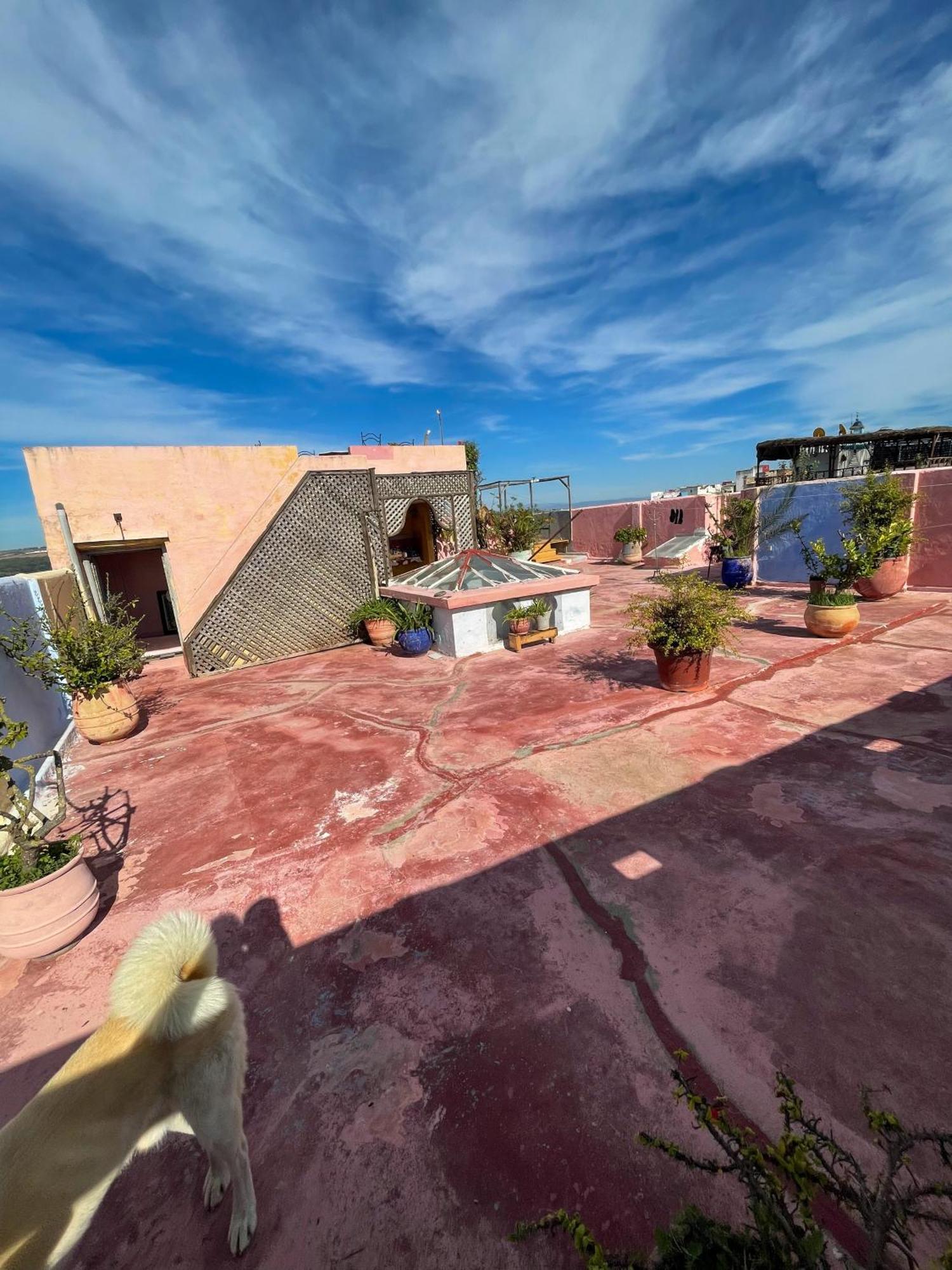 La Maison Haute Larache Morocco Ngoại thất bức ảnh